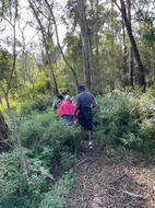 Bushwalk 1.JPEG