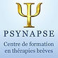 formation psynapse therapie hypnose PNL