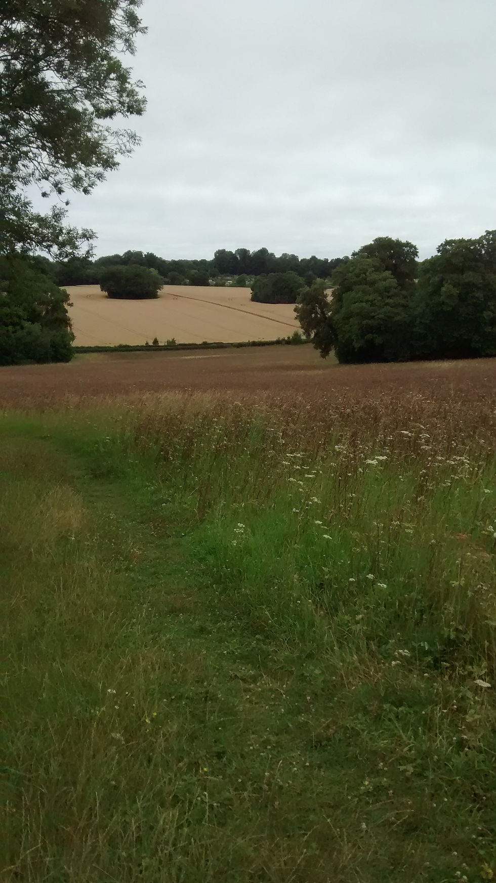 High Elms Country Park, Farnborough