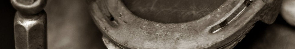 Horse shoe from a farrier