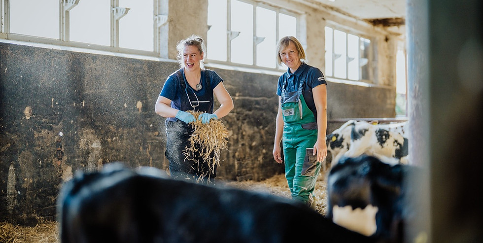 Groß (Tierarztzentrum Linke-31).jpeg