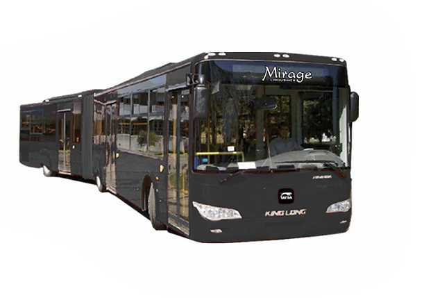 65 Passenger Party Bus