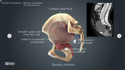 Screen Shot 2018-04-25 at 12.26.39 AM