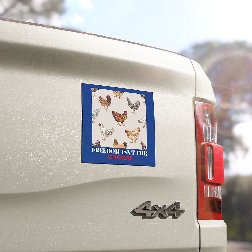 Thumbnail: Freedom Isn't for Chickens Car Magnet - Fun Farm Animal Magnet, Support Freedom 