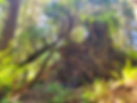 Spiritual Couples Counselor Las Vegas