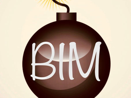 IL BOOM DEL BIM