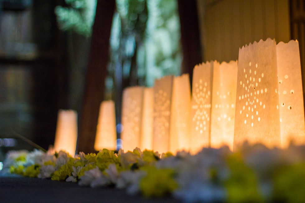 Bolsas de luz