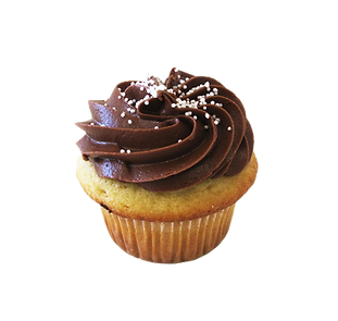 Vanilla Cupcake with Chocolate Frosting_
