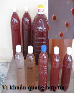 VK quang hop tia.png