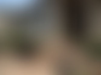 Unique Design Ideas for Walkways & Front Entrances