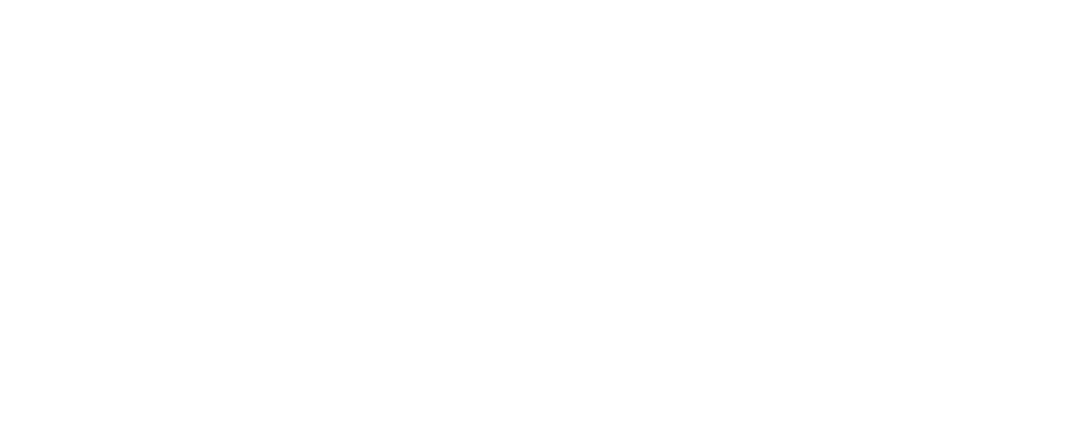 Red colaborativa de agencias de publicidad