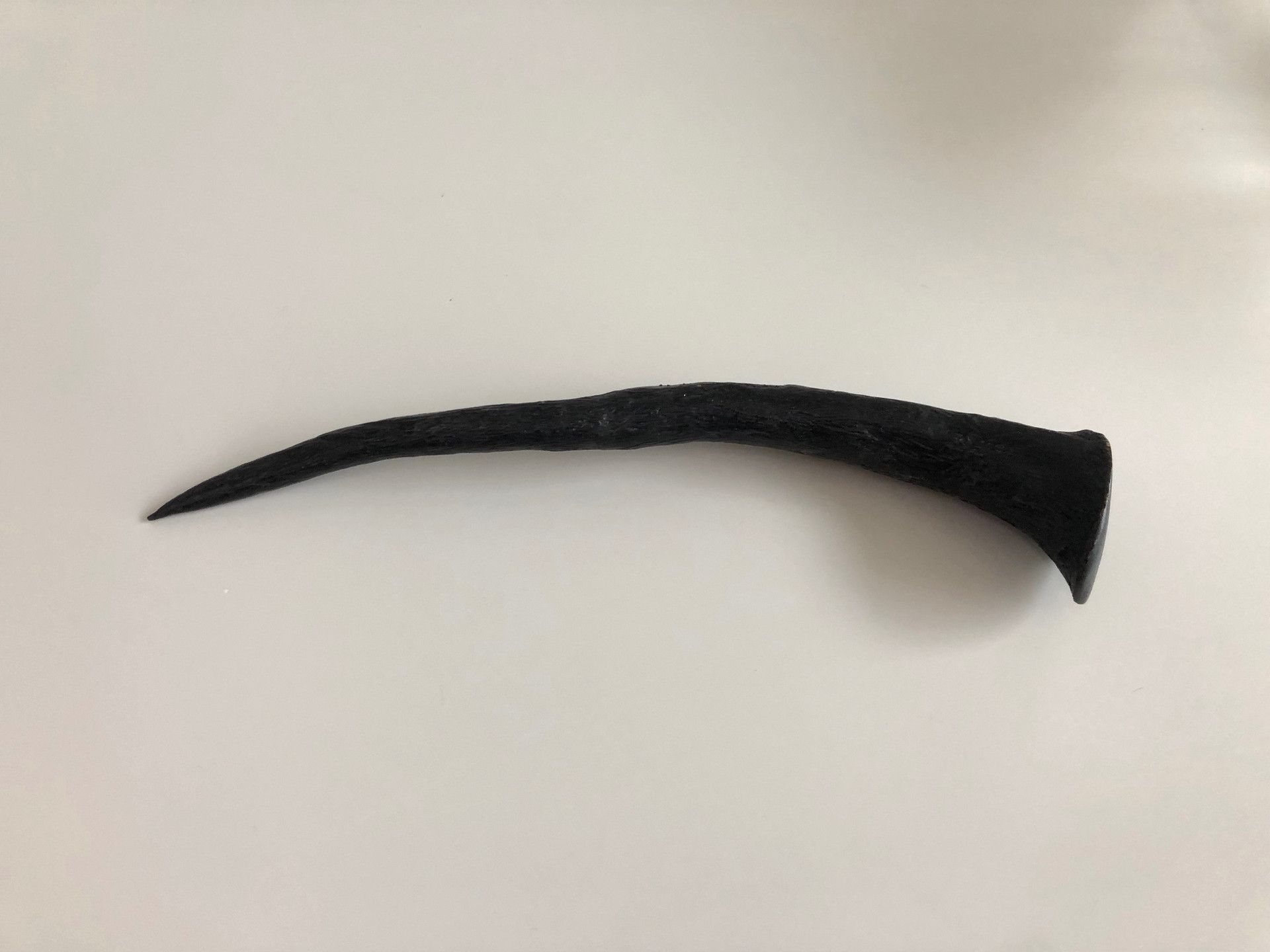 Benny Tail, 2019 Bronze 7.4 x 1 x .5 inches Edition 3 of 3