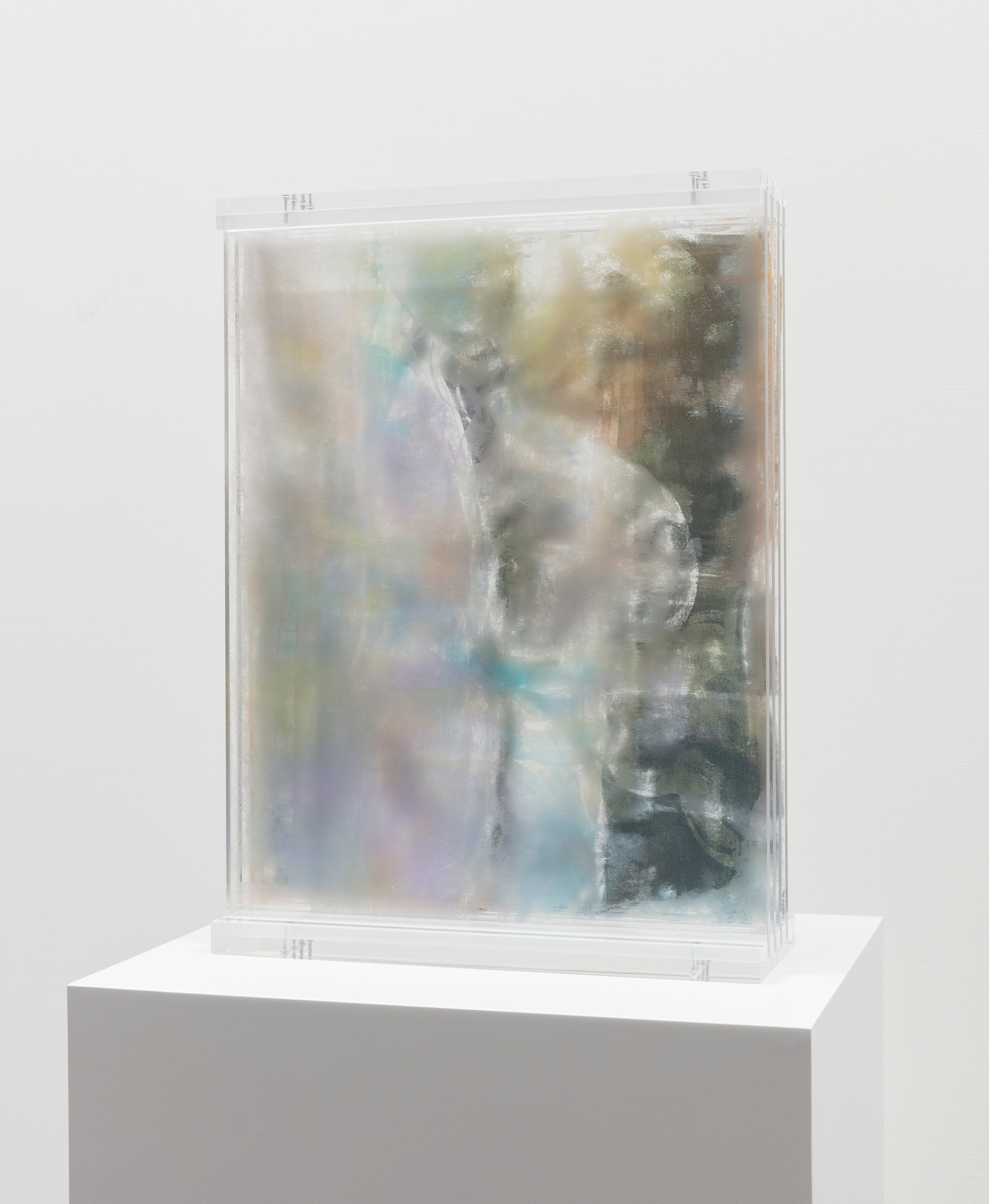 A Memoir Of Disintegration, 2019 UV ink on plexiglass 16 x 21 3/4 x 6 inches