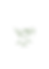 Screenshot 2024-10-14 alle 15.41.11-04.png