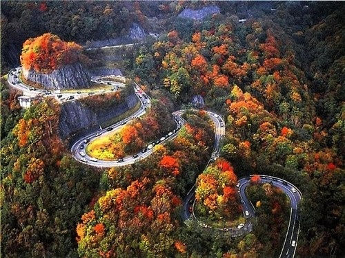 Tail of the Dragon @ Hwy. 129