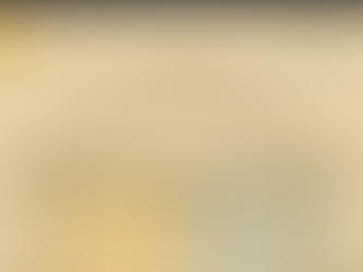 Attic fans - what are they good for?