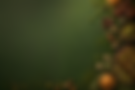 background-9.png