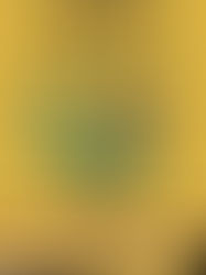 KÜLTÜREL MİRAS MASALLARLA YENİDEN DOĞUYOR