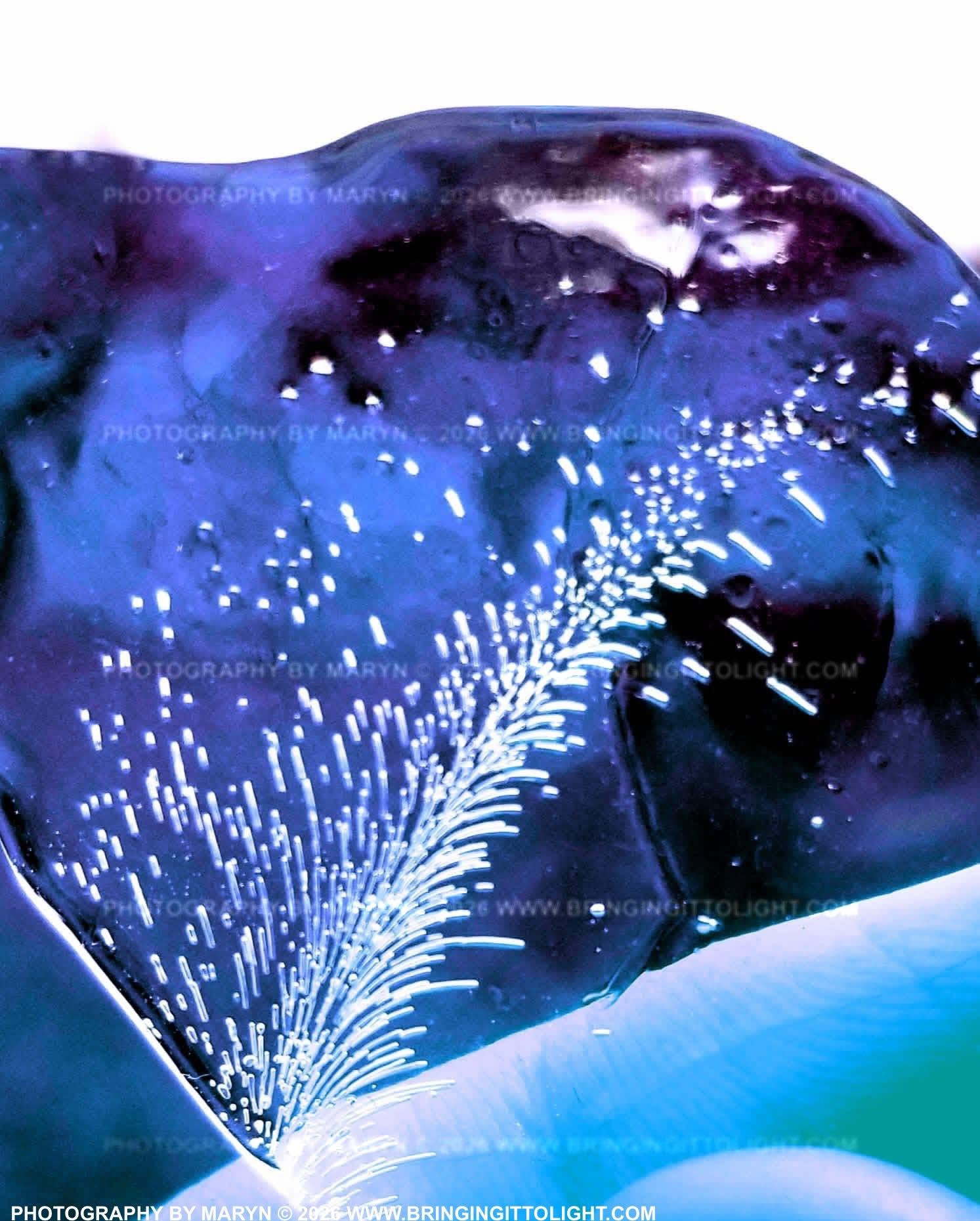 Ice Fern