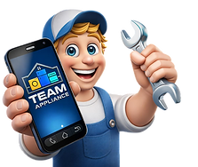 TEAM Appliance