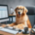Designer (2)_edited.jpg