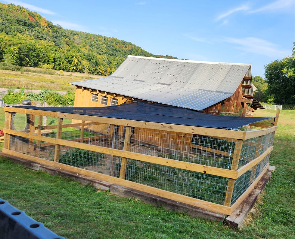Babbling Brook Acres