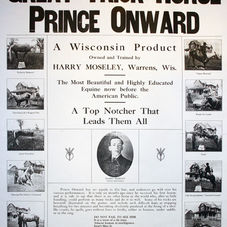 Prince Onward the Trick Horse