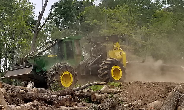 logging the woods