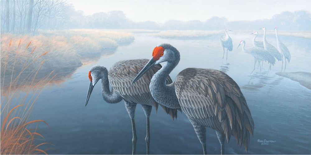 "Cranes On The Platte"