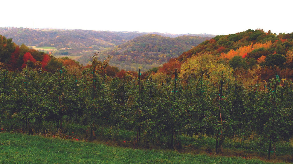 Exploring the Untamed Beauty of Driftless Rivers National Park in Wisconsin
