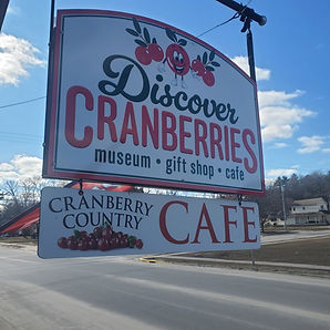 Discover Cranberries