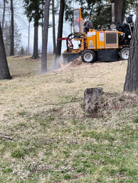 Stump grinder
