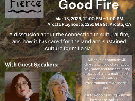 Good Fire at Zero to Fierce