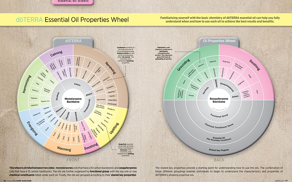 542fa3_1722ed47c9714a0e930eabe345965841%7Emv2_d_5100_3300_s_4_2