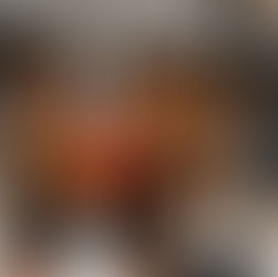 Stage d'Automne 2025