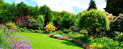garden.jpeg