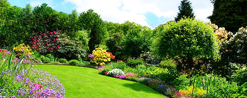 garden.jpeg
