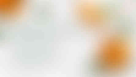 ApricotKernelOil