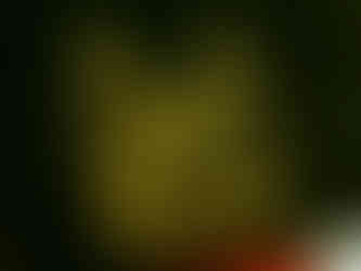 WhatsApp Image 2021-10-13 at 8.54.09 PM