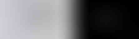 Le Cheval Noir Business Card Spread
