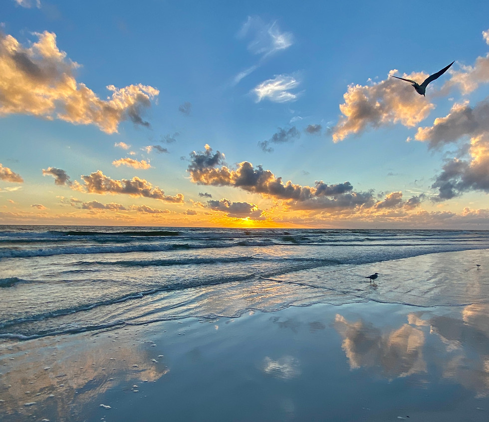 Thumbnail: Siesta Sunset