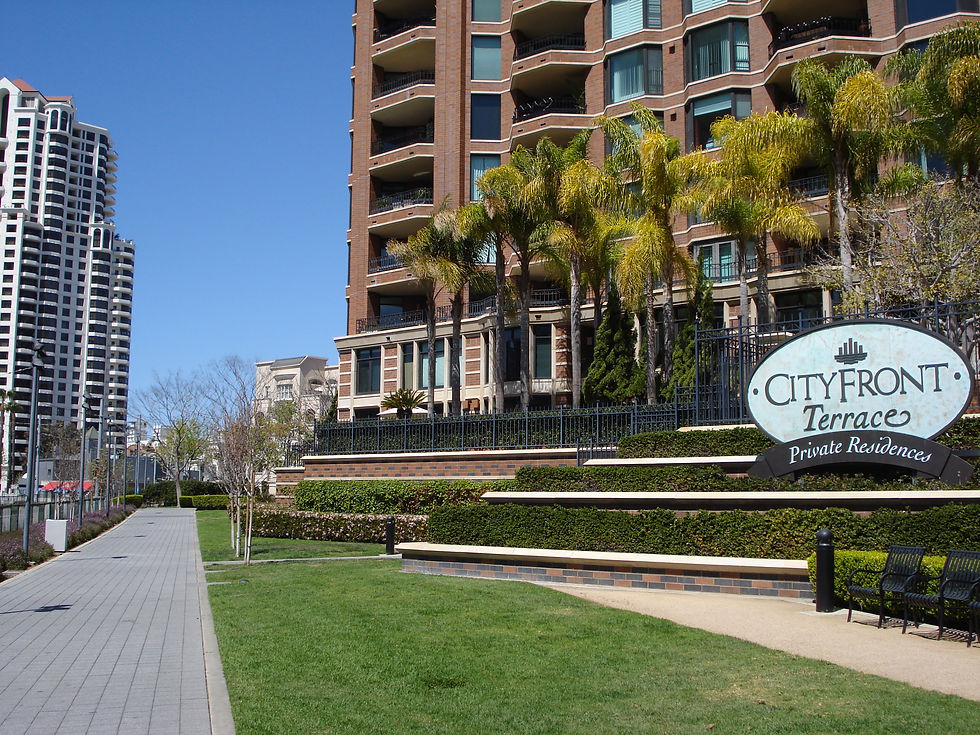 Martin Luther King 2