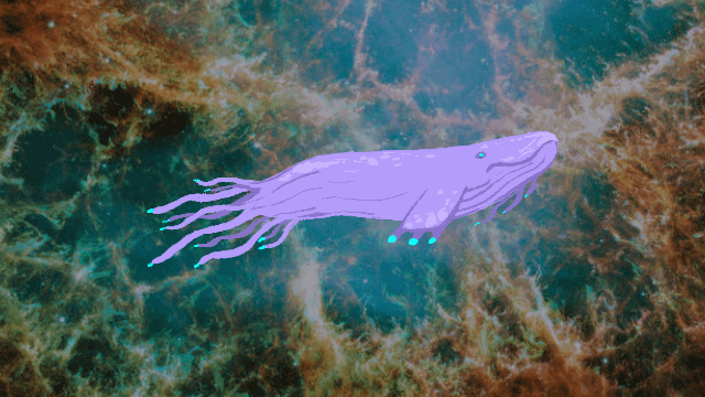 Whale.gif