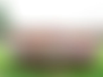 Newberry Soil and Water Conservation District: Keeping Newberry Beautiful