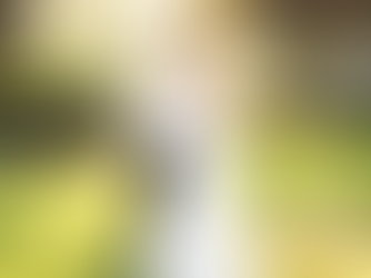 Are you planning a wedding?