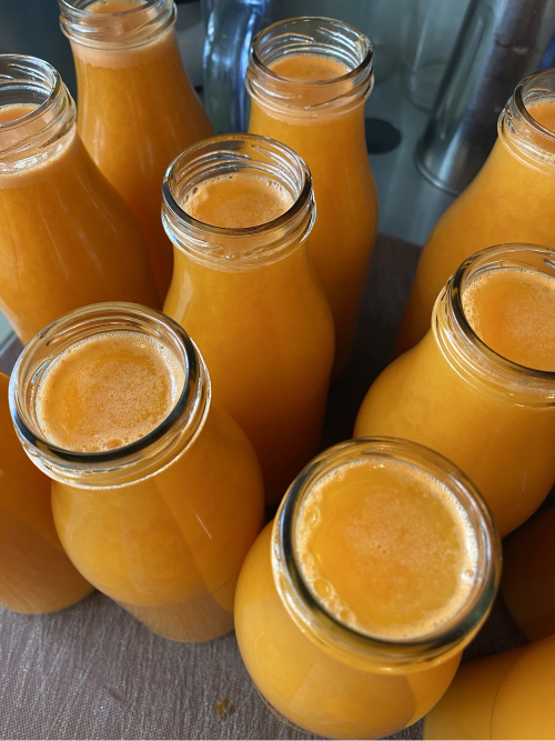 Arranged Food and Objects