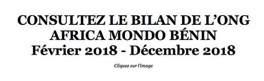 bilan-africamondo-benin.png