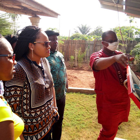 Visite du site de production du Moringa, à Zê Dodji-Bata, Bénin