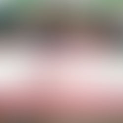 Les jeunes du RIJLF Bénin montrent l'exemple pour impacter positivement