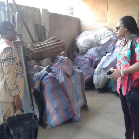 Bemah Gado, Entrepreneur dans le traitement des déchets